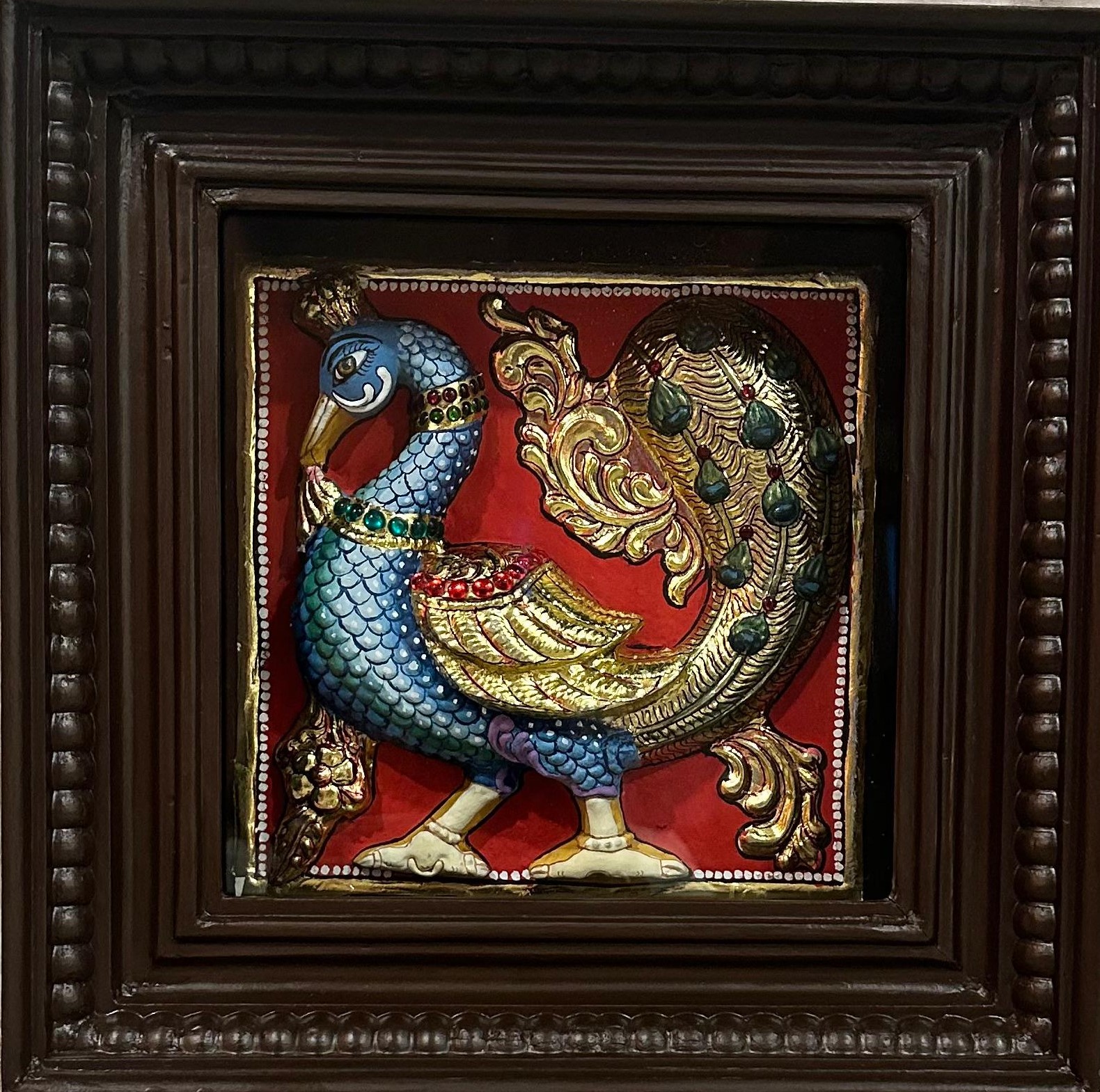 Royal Peacock